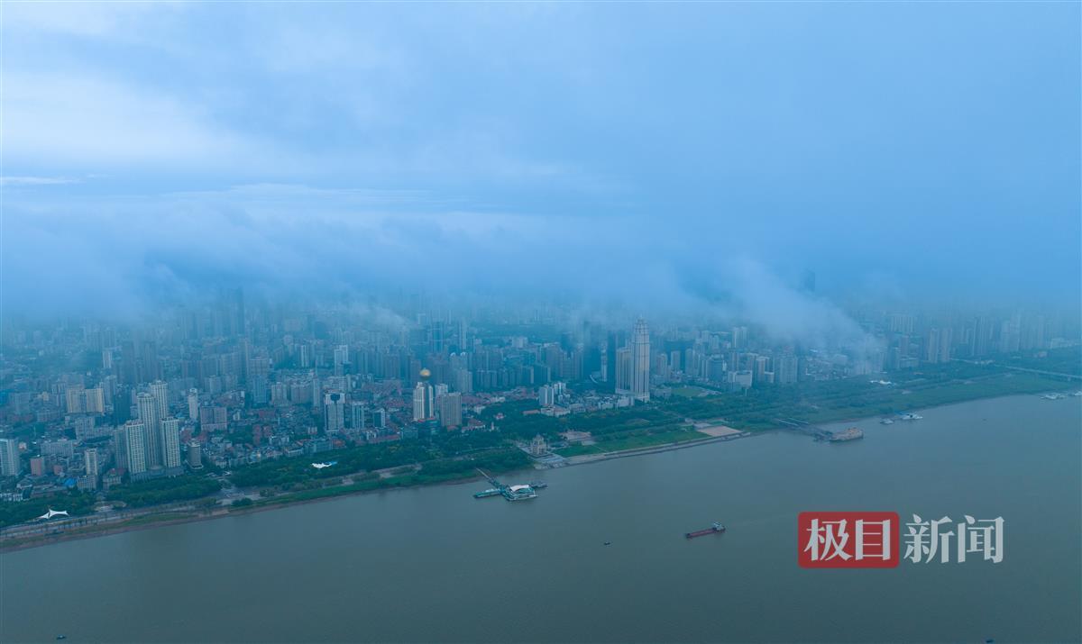 九五至尊2的网址